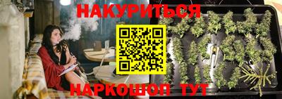 стаф Моздок