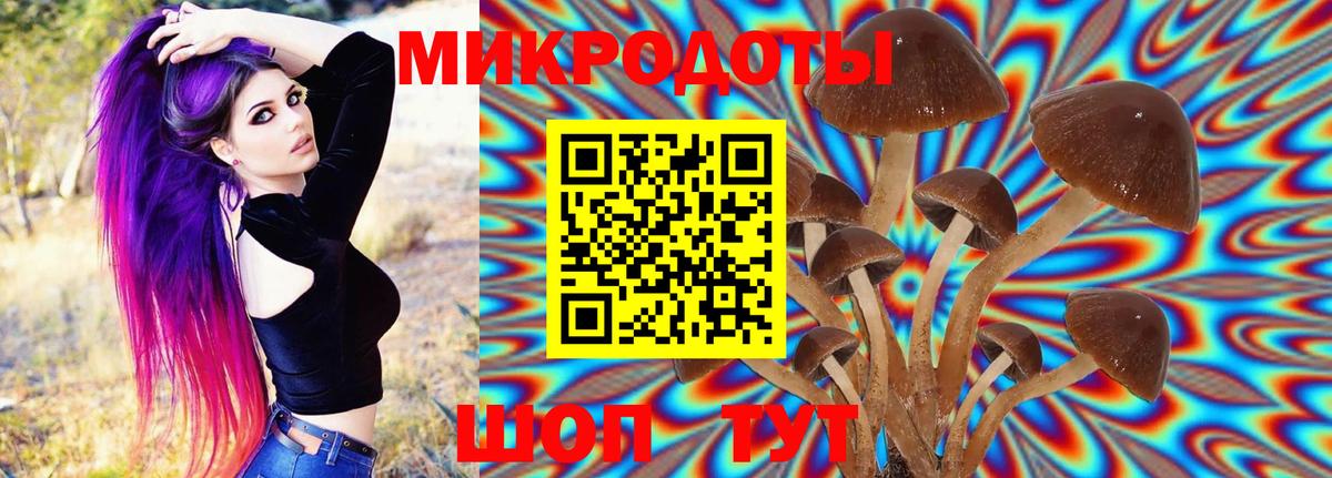 Псилоцибиновые грибы Psilocybine cubensis  Галлюциногенные грибы GOLDEN TEACHER  Вход с VPN  Бугуруслан 