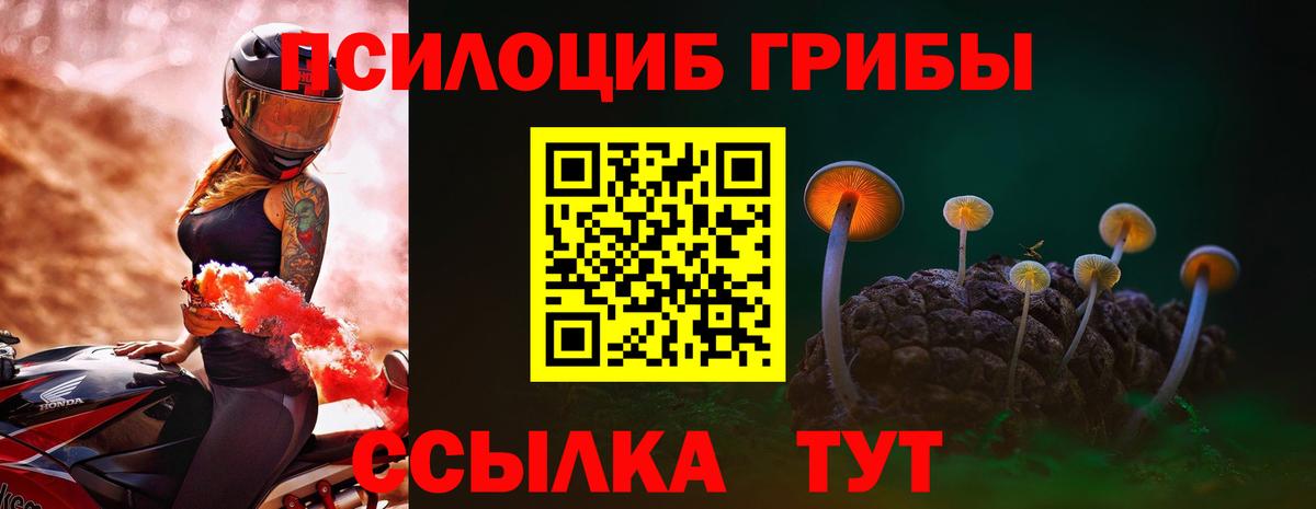 Галлюциногенные грибы Magic Shrooms Бугуруслан